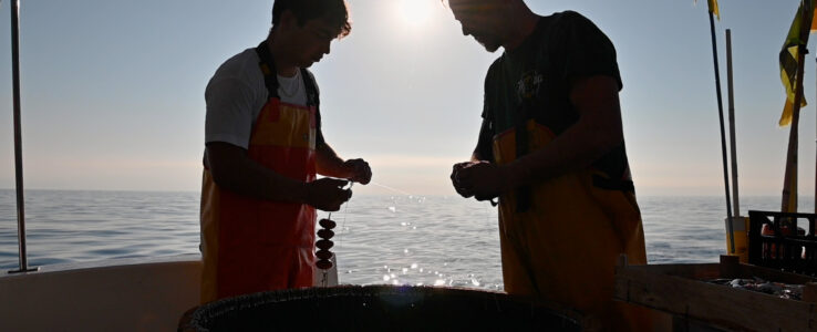 Perseveranza : bientôt la sortie !